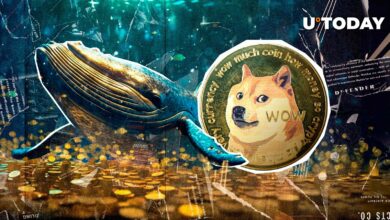 ۱۴۰,۰۰۰,۰۰۰ Dogecoin (DOGE) یک شبه در فعالیت Epic Whale Bull مکیده شد