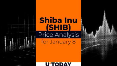 ۸ ژانویه پیش بینی قیمت SHIB