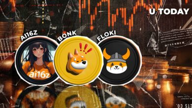 سکه های میم در میان قتل عام کریپتو کاهش می یابند: BONK، FLOKI، AI16Z بدترین ضربه را دریافت کنید