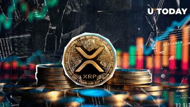 XRP قویتر از همه: ۲.۲ میلیون تراکنش