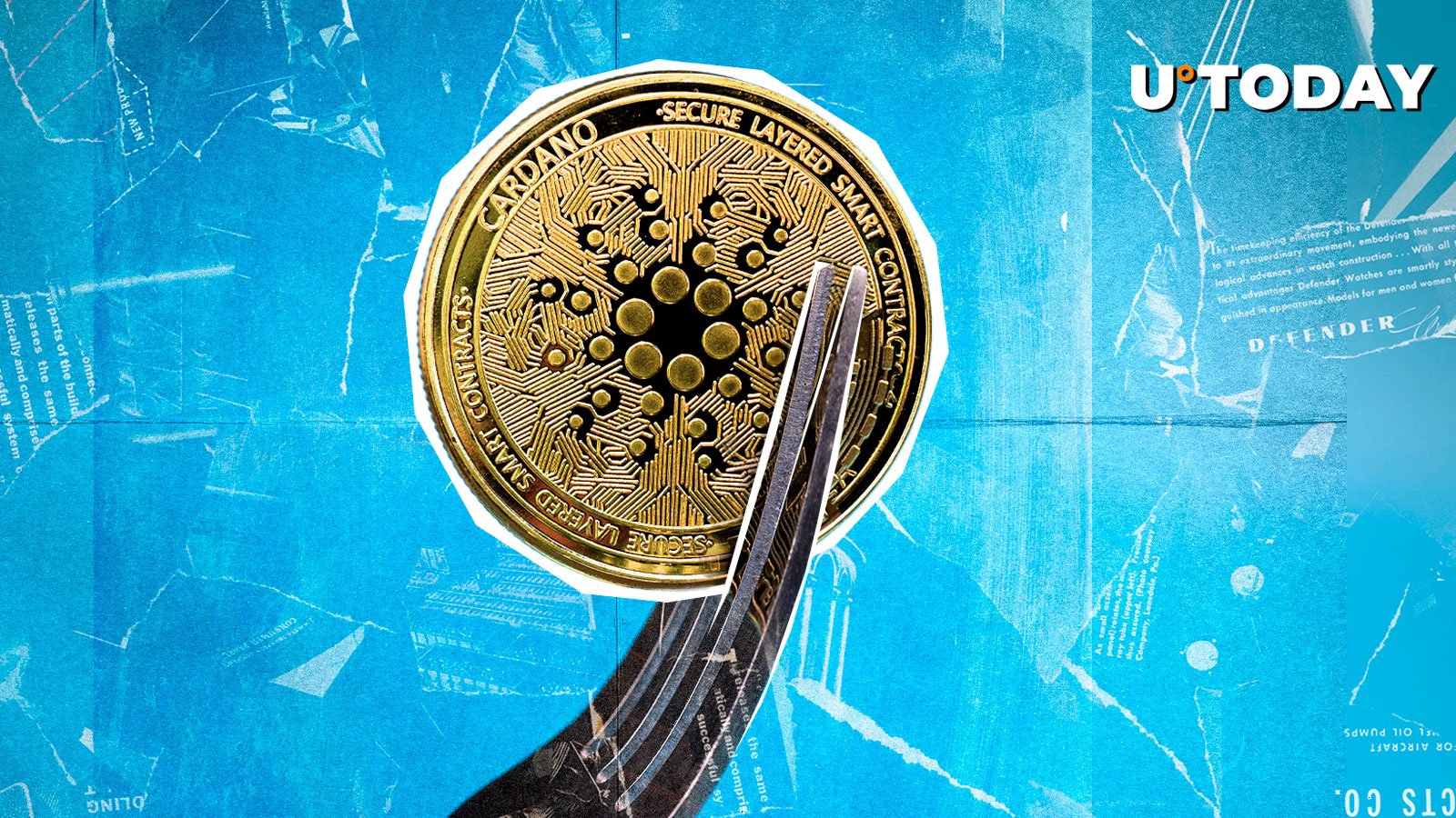 Cardano به استقبال از Major Hard Fork در ژانویه: جزئیات