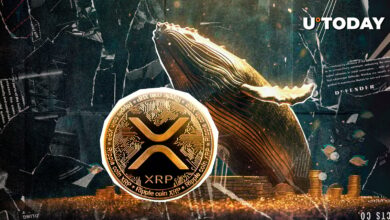 ۱ میلیارد XRP در ۴۸ ساعت: خریدهای نهنگ کاهش می یابد
