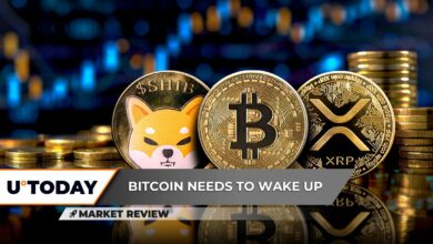 رونق عظیم XRP برای شروع یک رالی سرسام آور، شیبا اینو (SHIB): الگویی که نمی توانید از آن اجتناب کنید، بیت کوین (BTC) هنوز در خواب است