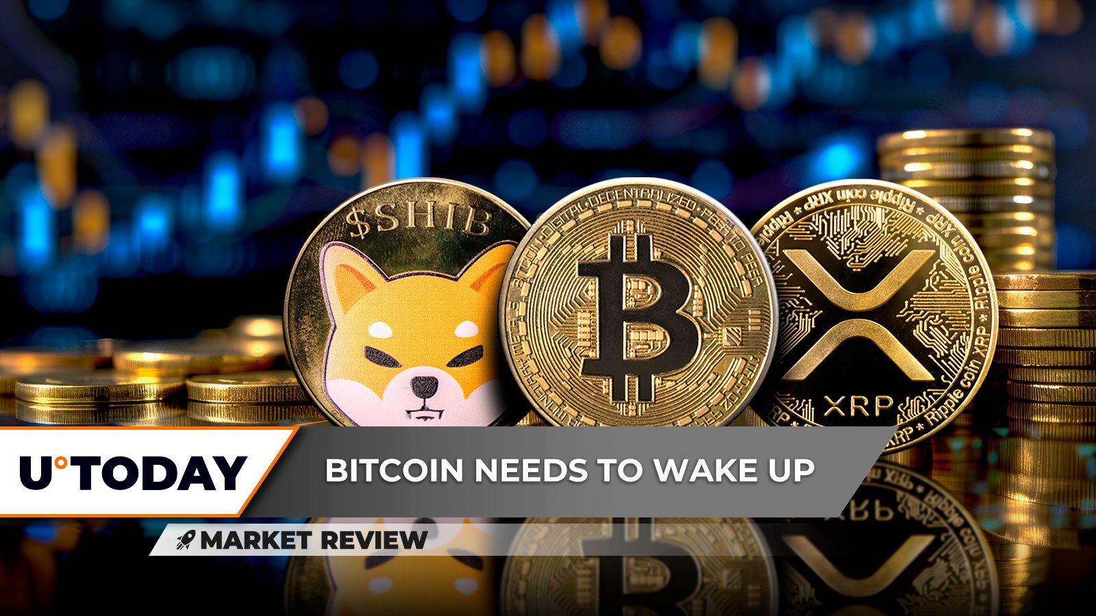 رونق عظیم XRP برای شروع یک رالی سرسام آور، شیبا اینو (SHIB): الگویی که نمی توانید از آن اجتناب کنید، بیت کوین (BTC) هنوز در خواب است