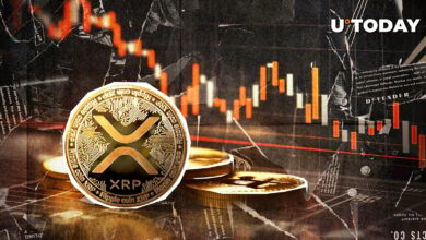 XRP در حال از دست دادن استیم: ۳ دلیل برای اینکه این اتفاق می افتد