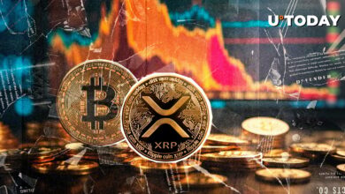 ۲۵۰ میلیون دلار انحلال: بیت کوین و XRP Pioneer Bear Massacre
