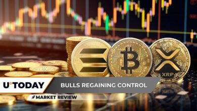 تست قیمت بزرگ‌ترین بیت‌کوین (BTC) در راه است، XRP غالب باقی می‌ماند: چشم‌ها روی ۳.۵ دلار، ۴۵ درصد پمپ Solana (SOL) ممکن است تازه شروع شده باشد