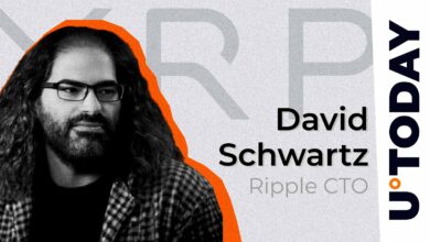 Ripple CTO به گمانه زنی ها در مورد XRP متمرکز پایان می دهد