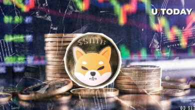 مهمترین پشتیبانی Shiba Inu در میان فروپاشی در بازار رمزنگاری ۸۵۴ میلیون دلار پدید آمد