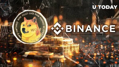 ۱۷۵.۲۷۴،۱۱۲ Doge Sustleri بزرگترین بازار سهام در جهان ، Binance – چه خبر است؟