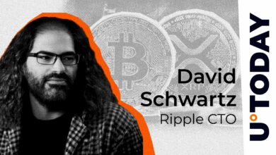 آیا XRP در معرض خطر است؟ Ripple CTO حدس و گمان در مورد تهدید کوانتومی را به پایان می رساند