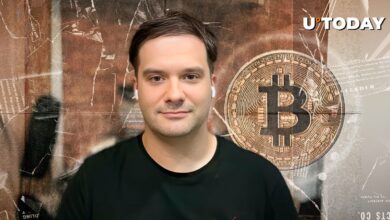 سابق نقش مهم مدیرعامل GOX بیت کوین: جزئیات