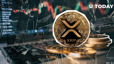 XRP Piques Multi-Milion Dollar Management
