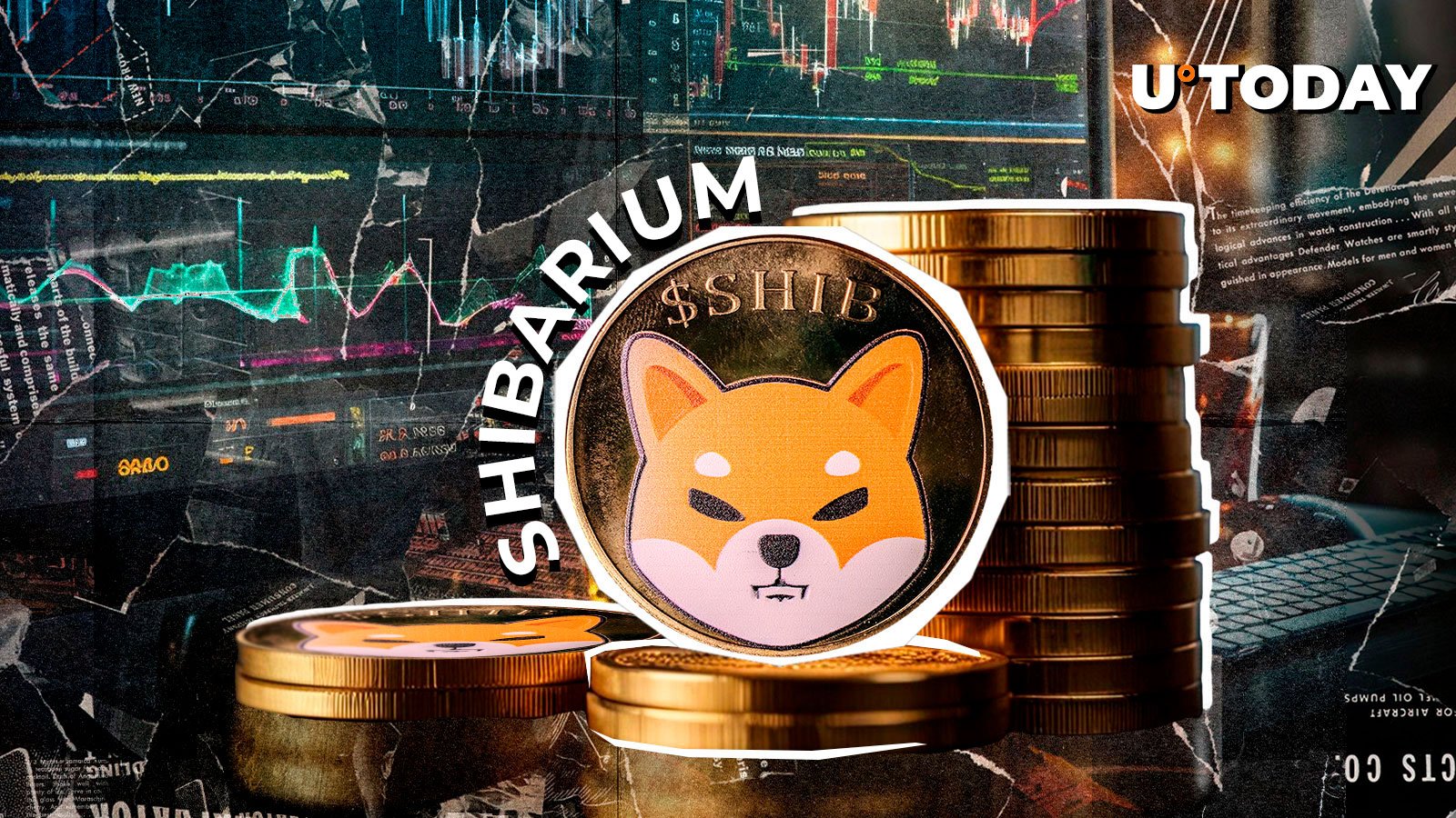 Shiba Inu Developer مهم شیبریوم توضیحات: جزئیات