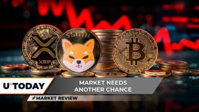 ۴۳ ٪ کاهش قیمت XRP: آیا نهنگ ها پایین را خریداری می کنند؟ صفر ، بیت کوین (BTC) در آستانه shiba inu (shib) به طرز شگفت آور قوی