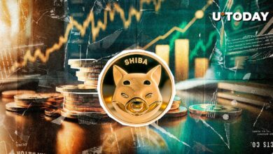Shiba Inu ، ۵۵۳ ٪ قیمت Shib Ribauunt 7 ٪