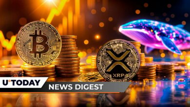 تسلط بیت کوین در بالاترین سطح در ۴ سال ، نهنگ ها به کاهش XRP 40 ٪ اهمیت نمی دهند ، Shib Burns Crash: Crypto News Digest