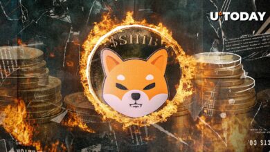 Shib Burns ، ۵۷۷ ٪ پرش به قیمت در آستانه شکستگی