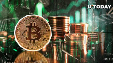 سرمایه گذاران خرده فروشی روزانه ۱۰،۶۲۷ BTC را جمع می کنند: Glassnode