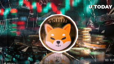 Shiba Inu (Shib) سرانجام از خواب بیدار می شود: ۱۱ ٪ در ۳ روز