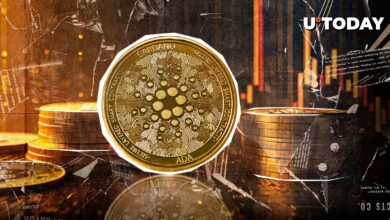 Cardano (جزیره) پس از ۱۵ ٪ تجمع کند می شود ، در اینجا سطح کلیدی که باید دنبال شود