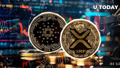 XRP و Cardano (جزیره) به بهترین معامله گران برای بهبود بازار رمزنگاری اعتقاد دارند