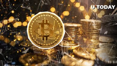 بیت کوین (BTC) نزدیک به دوچرخه است؟ نشانگر بحرانی می گوید بله