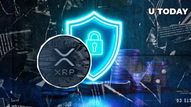 XRP “امنیت کنترل شده مرکزی” می گوید سرمایه گذار افسانه ای فرشته