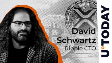 Ripple CTO تفاوت اساسی بین XRP و بیت کوین را توضیح می دهد