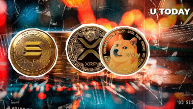 نقدینگی رمزنگاری ۲۷۹ میلیون دلار ، سمت چپ ، XRP و Dogge Spotlight