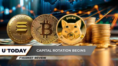 Solana (سمت چپ): بدترین کاهش در ۳ سال نابودی بیت کوین دلار آمریکا (BTC) است؟ بازیابی غافلگیرکننده Shiba Inu (Shib) ممکن است