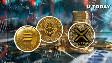 XRP ، SOL ، ETH این بینش مهم بازار را نشان می دهد