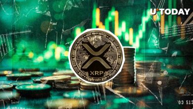 “گرافیک عالی”: قیمت XRP از بهترین معامله گر تمجید عاطفی می کند