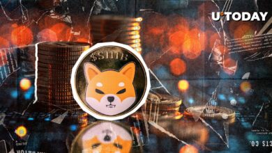 Red Inu Price به عنوان اولین صلیب بزرگ مرگ در سال ۲۰۲۵