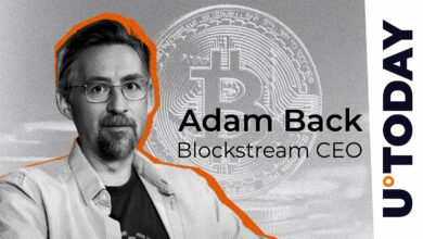 از آنجا که قیمت BTC برنده می شود ، مرد یک مورد Ascension را برای بیت کوین ایجاد می کند