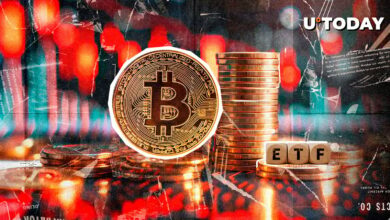 بیت کوین (BTC) 365 میلیون دلار از دست داد: آیا Bull Run لغو شده است؟