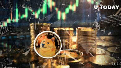 ۲۱۰،۰۰۰،۰۰۰ Doge در ۴۸ ساعت و سپس این محوری ناگهانی: جزئیات