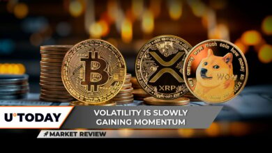 بیت کوین (BTC) به ۱۰۰۰۰۰ دلار افزایش می یابد: ۳ سطح کلیدی موج افزایش XRP را دنبال می کند؟ Dogecoin (Doge) در موقعیت بسیار دشواری