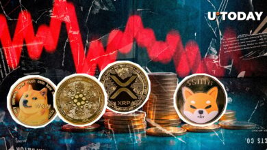 XRP ، Island ، Shib ، Crypto Liquids Red Doge به عنوان بهترین ۵۵۶ میلیون دلار