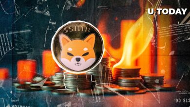 Shib Burns 30.156.987 Shib و ۱.۳۰۶ ٪ Skyrocket برای همیشه پیش رفت