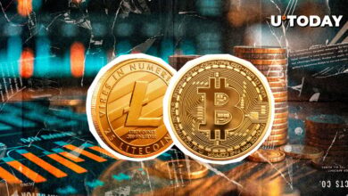 Litecoin (LTC) با افزایش ۸ ٪ عملکرد بهتری نسبت به بیت کوین (BTC) دارد؟
