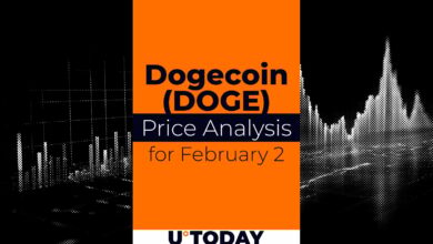تخمین قیمت Doge برای ۲ فوریه