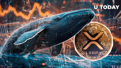 نهنگ های XRP به ۴۰ ٪ قطره اهمیت نمی دهند: blockchain XRP نشان می دهد