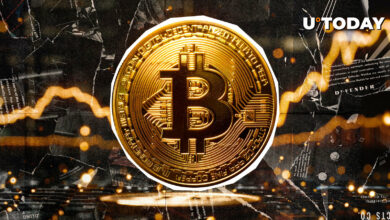 آیا این نشانه خوبی از تسلط بیت کوین در بالاترین سطح در ۴ سال است؟