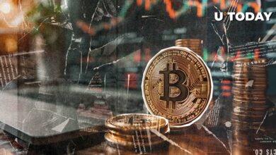 بیت کوین (BTC) ممکن است بیشتر سقوط کند: بهترین تحلیلگر نشان می دهد