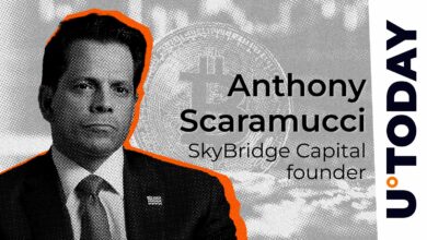 Scaramucci یک سال بسیار خوب برای بیت کوین پیش بینی می کند زیرا قیمت به ۱۰۰ هزار دلار نزدیک می شود