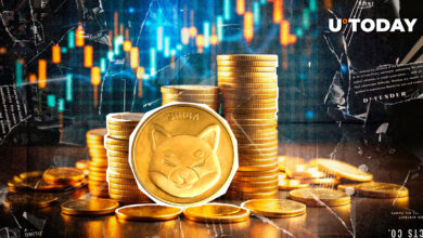 Masif 607 تریلیون شیب تقریباً در برف است ، قیمت بعدی برای قیمت چیست؟