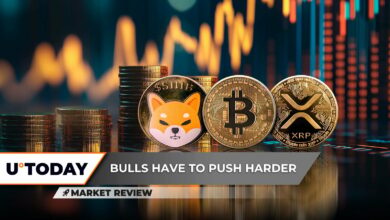 Shiba Inu (Shib) اولین آزمایش اصلی از دست دادن سوخت (BTC) سوخت است ، XRP برای تجمع یک برس دیگر آماده است؟
