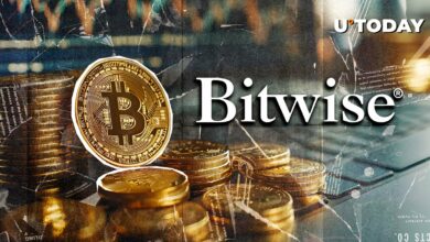 مدیرعامل Bitwic پیش بینی می کند برای سال ۲۰۲۵ بیت کوین “سال حوضه” خواهد بود