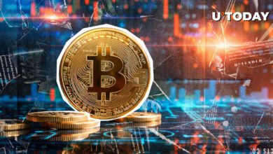 بیت کوین (BTC) ارتفاع ۴ سال با متریک کلیدی برخورد می شود